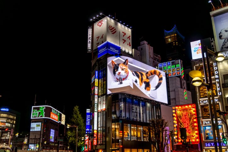 3D Cat Billboard