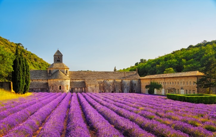 Abbaye Notre-Dame de Sénanque