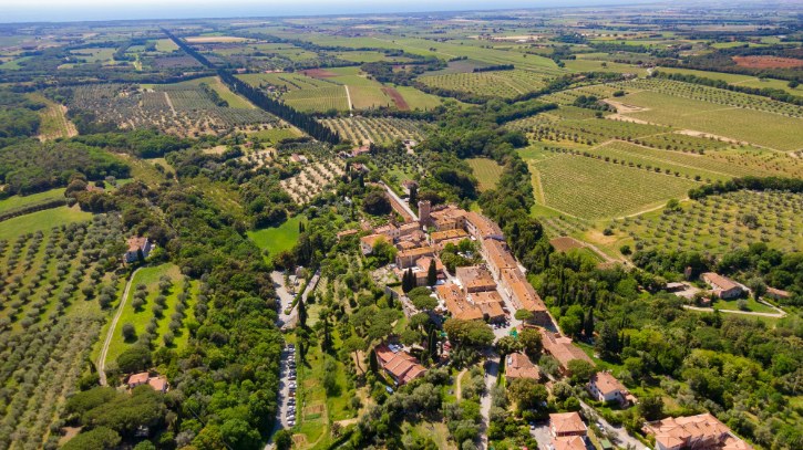Bolgheri