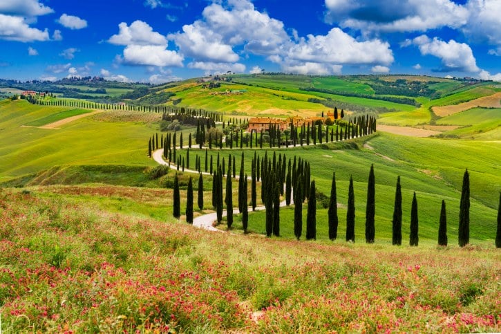Podere Baccoleno