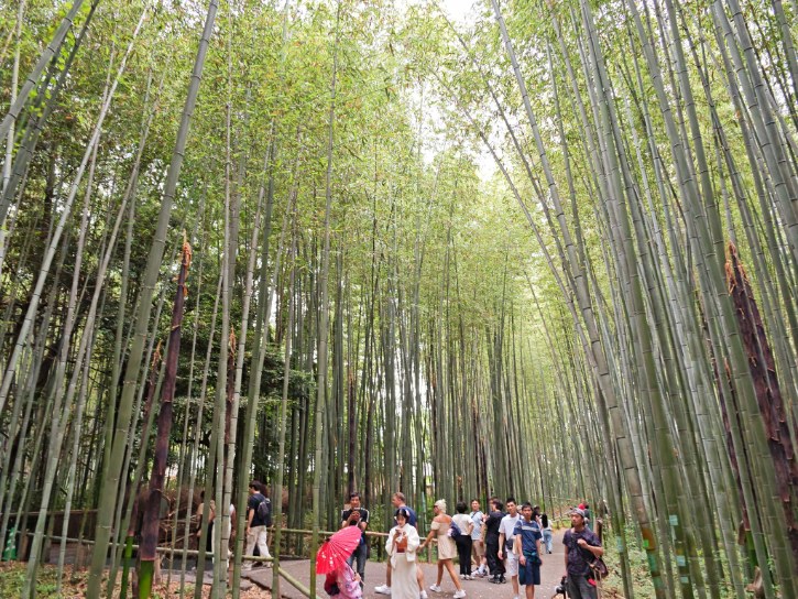 Arashiyama Bamboo Forest